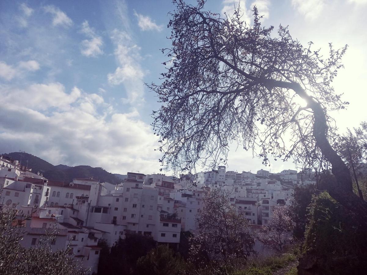 דירות טולוקס Casa Pepe La Rosa Atico מראה חיצוני תמונה
